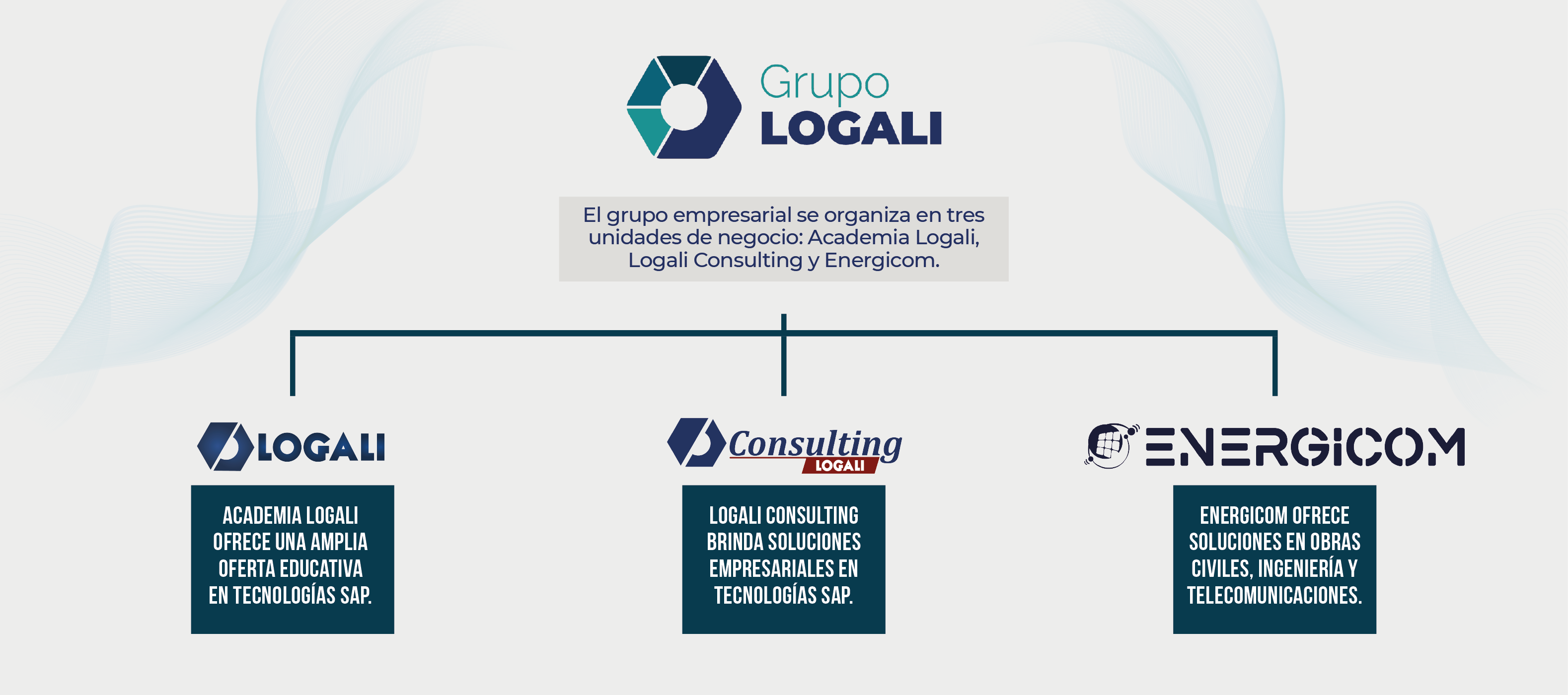 Grupo Logali - modelos de negocio